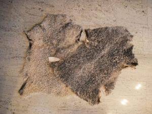 Schaffelle - Gotland - natural-sheepskin-carpet