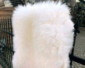 Schaffelle -  Natürliche Schafshaut - white-natural-sheepskins-sheep-adam-leather